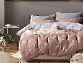 КПБ 2сп поплин Pure Cotton PC Клео <PC-159>