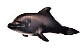 Антистрессовая игрушка Дельфин (68*20) (арт.17аси16ив)