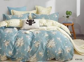 КПБ 1,5сп сатин в коробке (нав 70*70) Satin de Luxe SK Клео <858-SK>