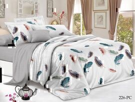 КПБ 2сп поплин Pure Cotton PC Клео <PC-226>